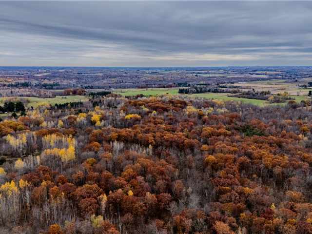 Cornell Land Real Estate