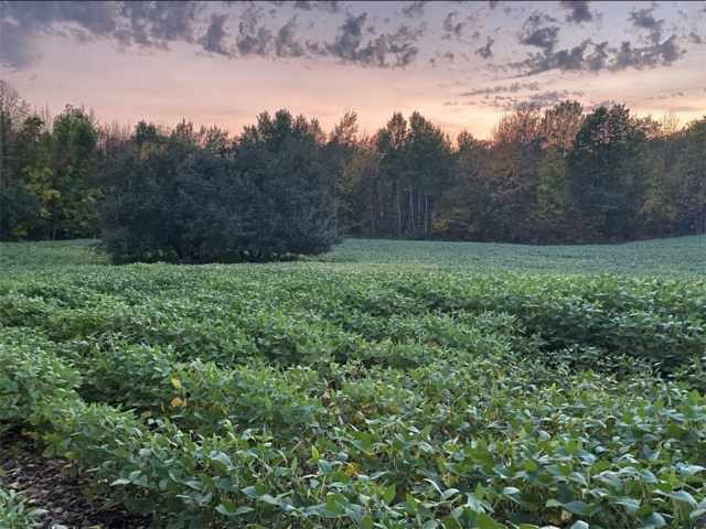 Cornell Land Real Estate