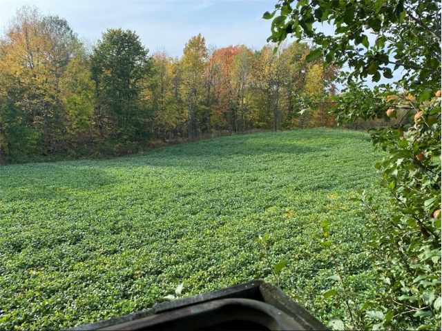 Cornell Land Real Estate