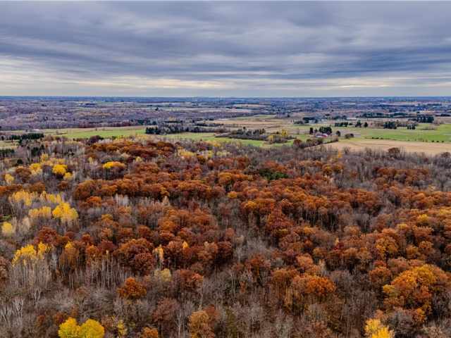 Cornell Land Real Estate
