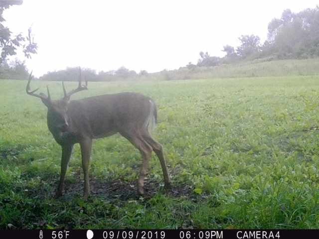 Cornell Land Real Estate