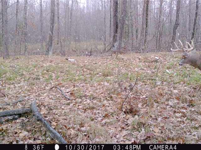 Cornell Land Real Estate