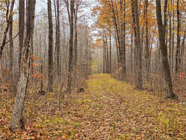 Cornell Land Real Estate