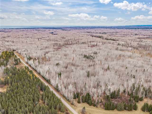 Maple Residential Real Estate