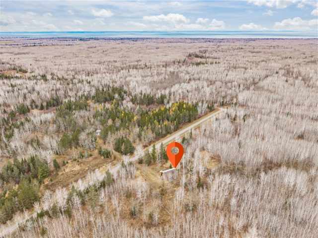 Maple Residential Real Estate