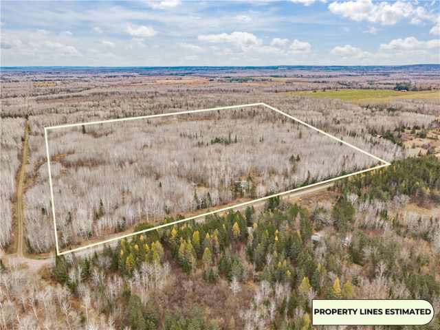 Maple Residential Real Estate