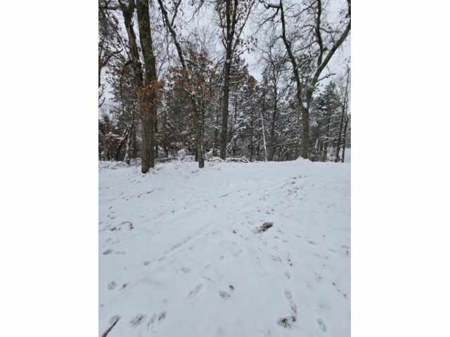 Minong Land Real Estate