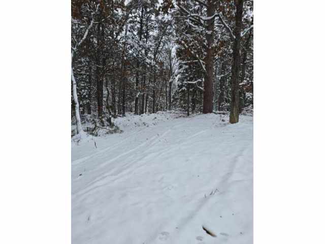 Minong Land Real Estate