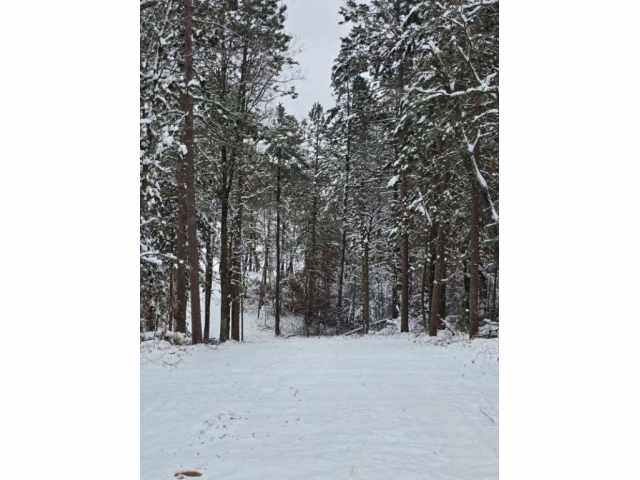 Minong Land Real Estate