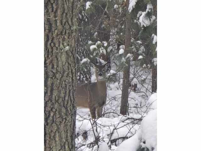 Minong Land Real Estate