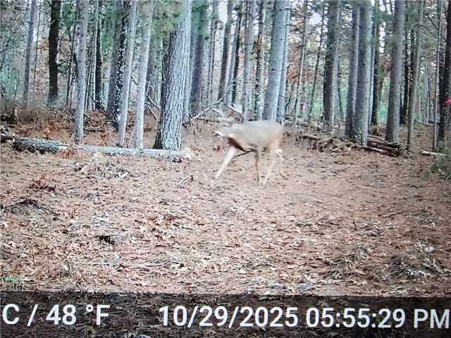 Minong Land Real Estate