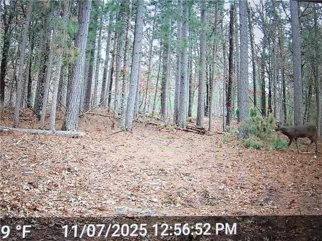 Minong Land Real Estate