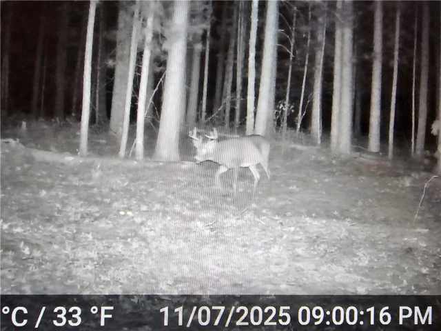 Minong Land Real Estate