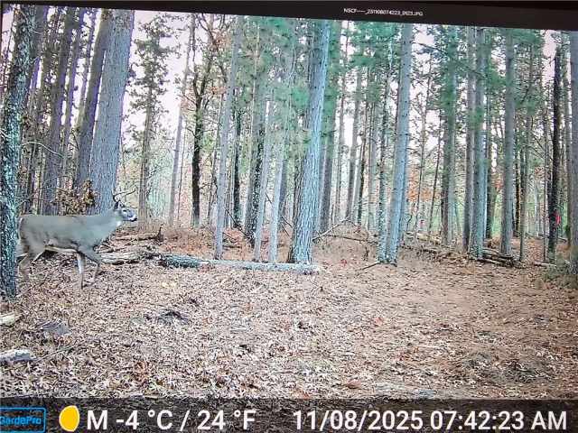 Minong Land Real Estate