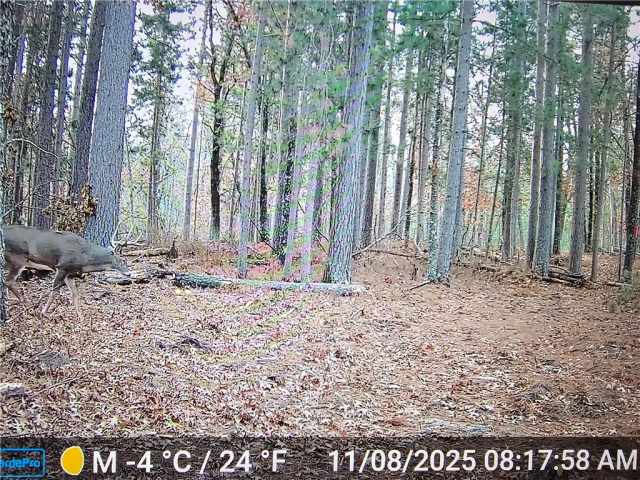 Minong Land Real Estate