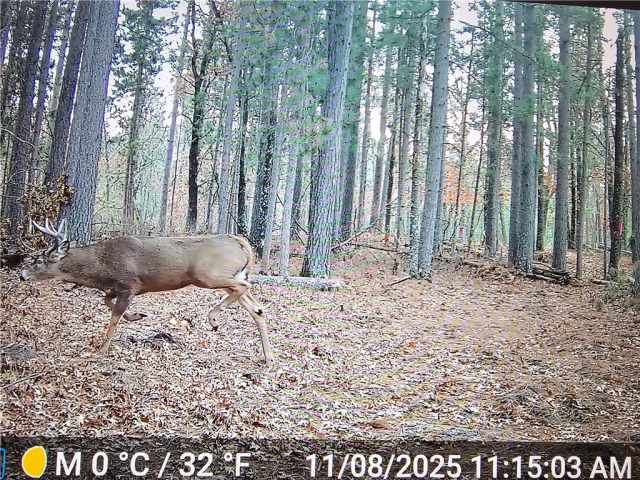 Minong Land Real Estate