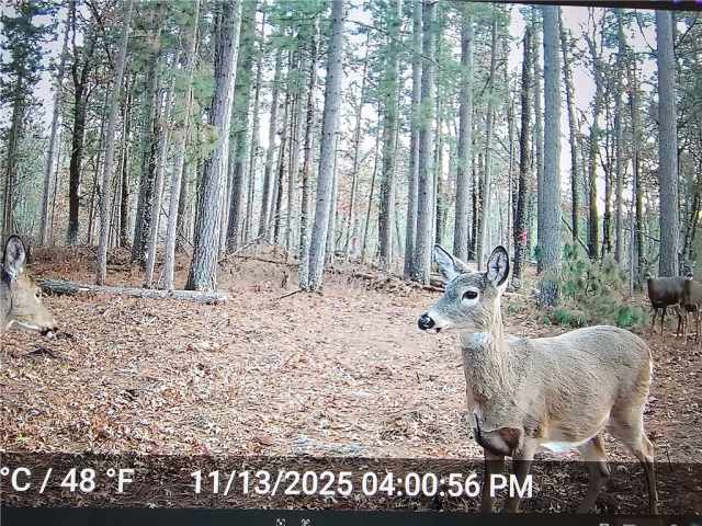 Minong Land Real Estate