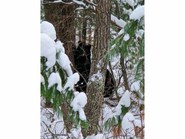 Minong Land Real Estate