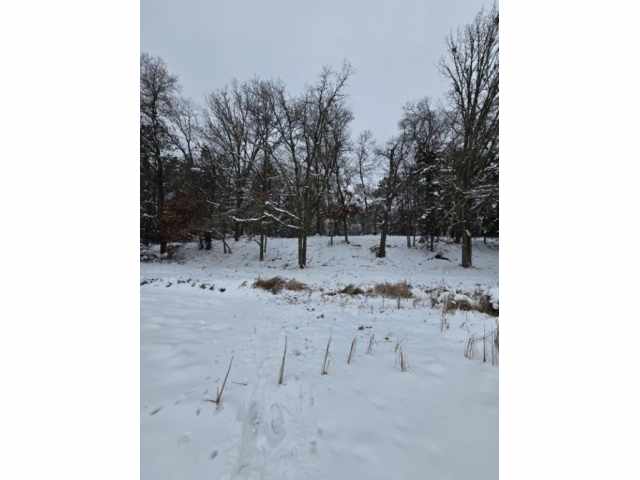 Minong Land Real Estate