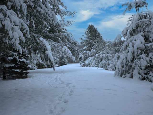 Shell Lake Residential Real Estate