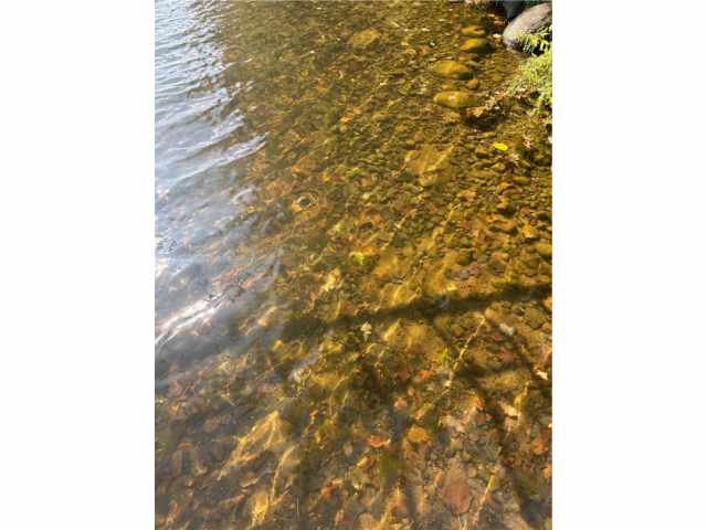 Birchwood Residential Real Estate