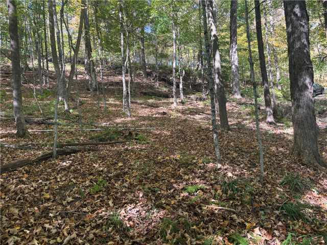 Birchwood Residential Real Estate