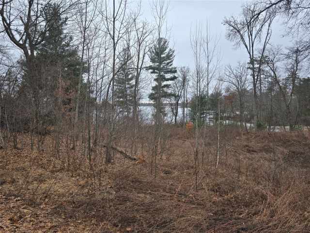 Cameron Land Real Estate