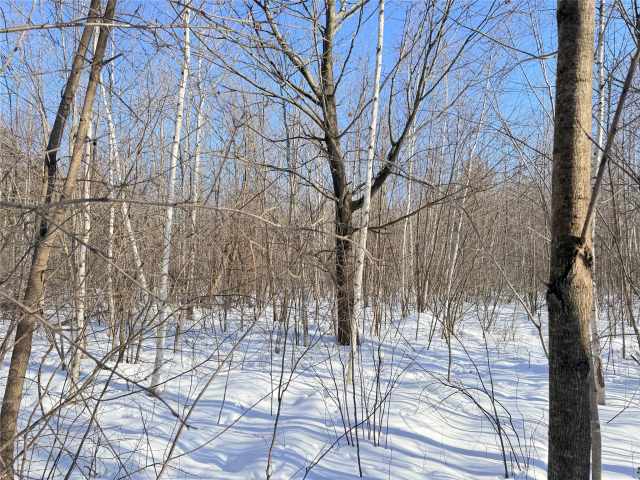 Rice Lake Land Real Estate