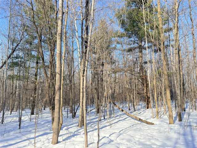 Rice Lake Land Real Estate