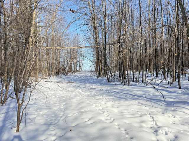 Rice Lake Land Real Estate