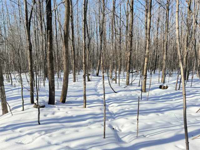 Rice Lake Land Real Estate