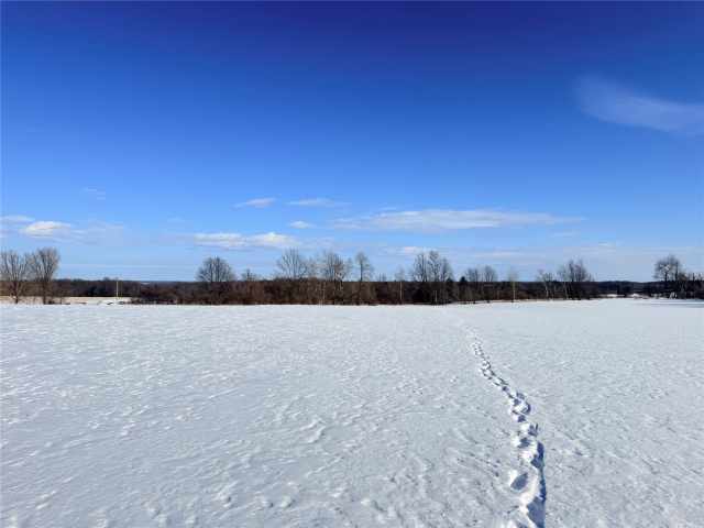 Rice Lake Land Real Estate