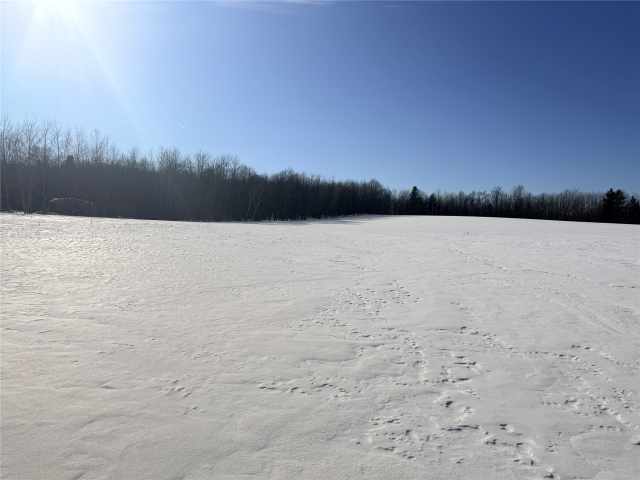 Rice Lake Land Real Estate