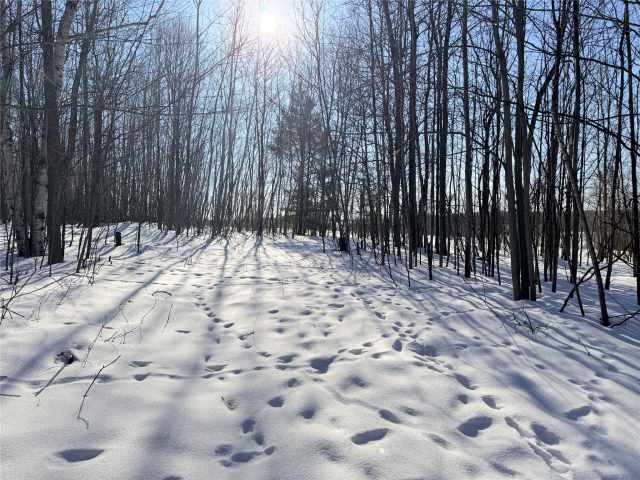 Rice Lake Land Real Estate