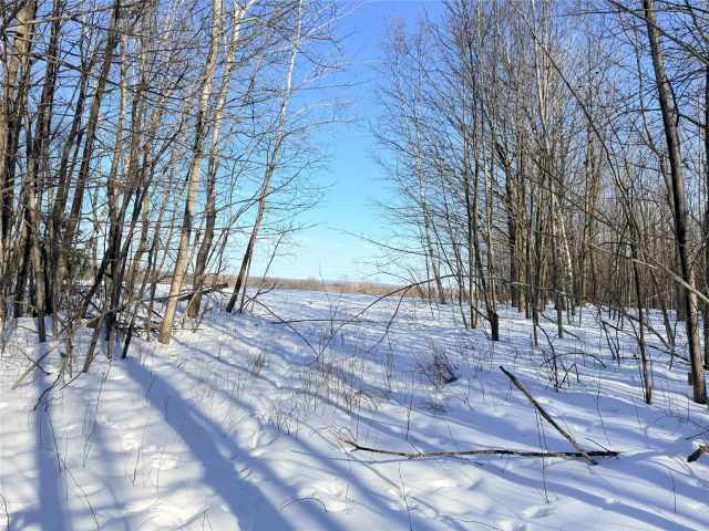 Rice Lake Land Real Estate