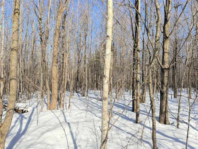 Rice Lake Land Real Estate