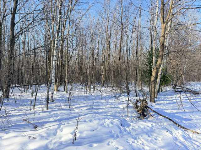 Rice Lake Land Real Estate