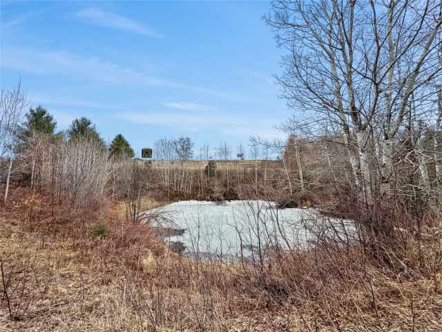 Ladysmith Residential Real Estate