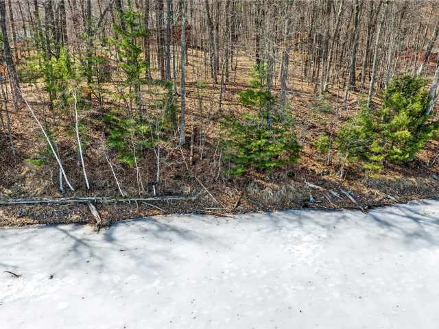 Sarona Land Real Estate