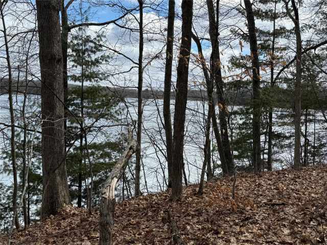 Sarona Land Real Estate