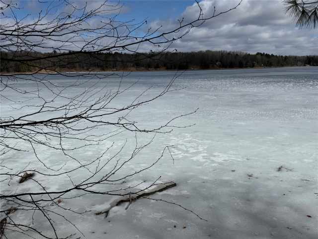 Sarona Land Real Estate