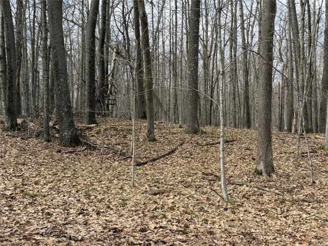 Sarona Land Real Estate