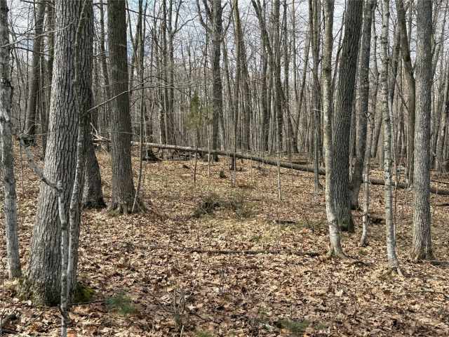 Sarona Land Real Estate