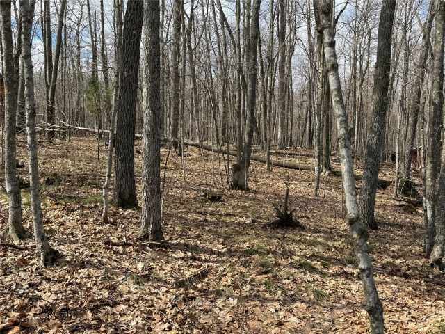 Sarona Land Real Estate