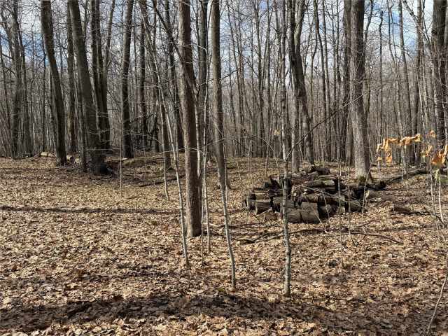 Sarona Land Real Estate