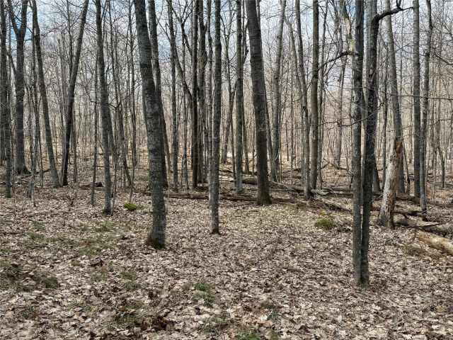 Sarona Land Real Estate