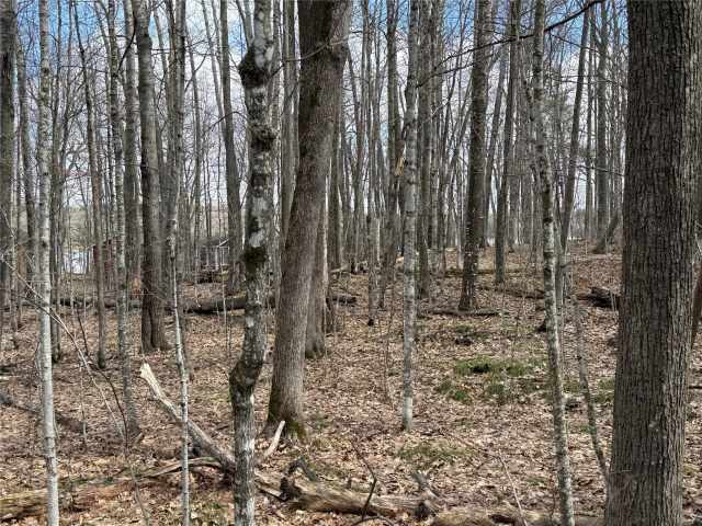 Sarona Land Real Estate