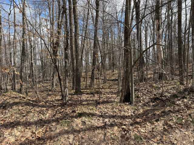 Sarona Land Real Estate