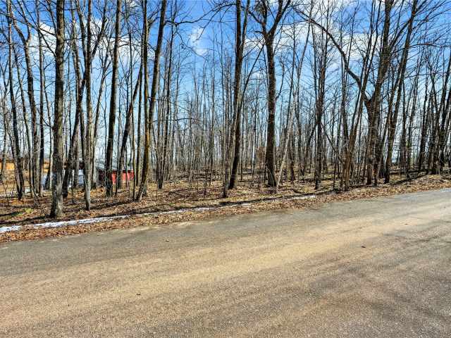 Sarona Land Real Estate