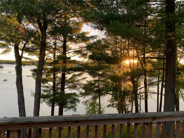 Cameron Residential Real Estate